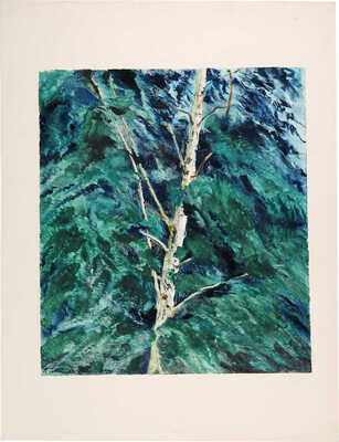 Чеботарёв Константин Константинович. Шурина березка 